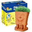 Chia Pet Sponge Bob